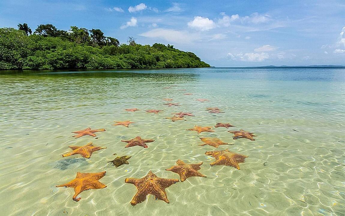 Vila Casa Del Mar Bocas del Toro Exteriér fotografie